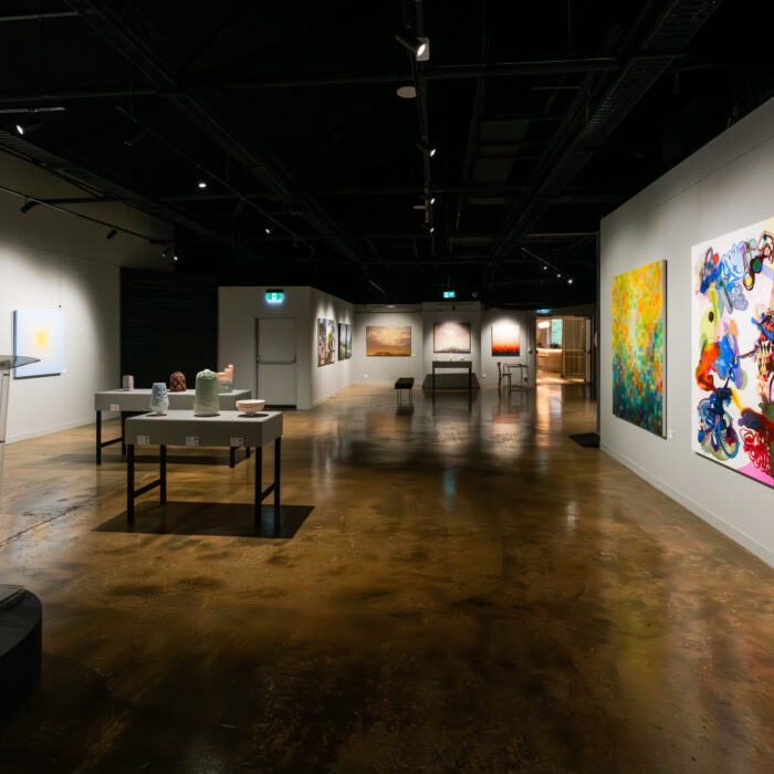 Adelaide Art Gallery - The Light Room Gallery
